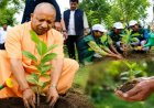 गोरखपुर से पौधरोपण महायज्ञ का शुभारंभ करेंगे मुख्यमंत्री योगी