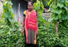 किचन गार्डन से आत्मनिर्भर बन रहीं बिहान की दीदियां