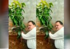 अधिमान्य पत्रकार नेतृत्व समिति के प्रदेश अध्यक्ष प्रीतम वर्मन ने लगाया एक वृक्ष