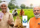 पीएम किसान की अगली किस्त पर बड़ा अपडेट, जानें कब खाते में आएंगे पैसे