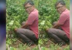 जबलपुर पूर्व प्रदेश अध्यक्ष सुनील कुमार राय ने पीपल के वृक्ष मझौली में लगाए
