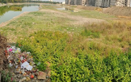 भोपाल के बड़े तालाब के कैचमेंट पर बढ़ी प्लॉटिंग, 3 महीने में 11 हजार रजिस्ट्रियां, पर्यावरण पर बढ़ा खतरा