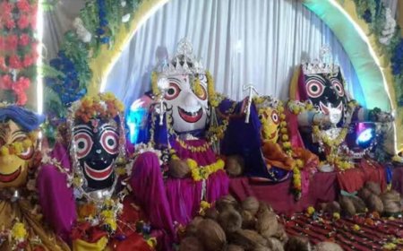 Bastar News: अंतिम चरण में गोंचा महापर्व की तैयारियां, उत्सव को लेकर बढ़ा उत्साह