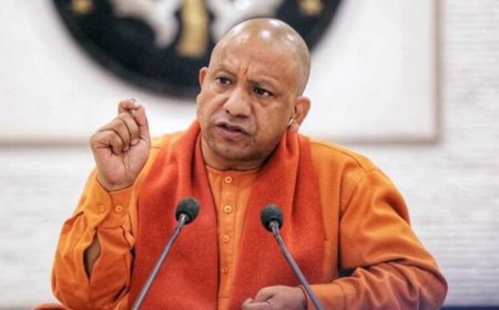 योगी सरकार की बागवानी योजना से किसानों की बढ़ रही आय, आधुनिक खेती को मिल रहा बढ़ावा