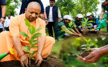 गोरखपुर से पौधरोपण महायज्ञ का शुभारंभ करेंगे मुख्यमंत्री योगी