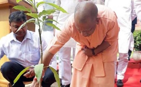 गोरखपुर से सीएम योगी ने 35 करोड़ पौधरोपण महायज्ञ का शुभारंभ किया आज।