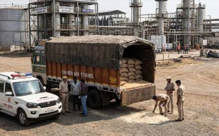 MP में एथनॉल के नाम पर 242 क्विंटल चावल हेराफेरी, 8 राइस मिलर जांच के घेरे में