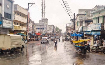 CG Weather Update: कल से मानसून पकड़ेगा रफ्तार, उत्तरी छत्तीसगढ़ में 5 दिन तक बारिश के आसार