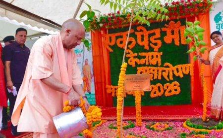 वनों से ही नदियां रहेंगी सदानीरा: मुख्यमंत्री