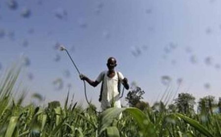 मुख्यमंत्री डॉ. यादव 10.54 लाख किसानों के खातों में 1460.25 करोड़ की राशि करेंगे अंतरित