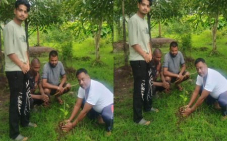 डिंडोरी जिला कार्यवाहक अध्यक्ष दुर्गेश बर्मन ने लगाया पौधा