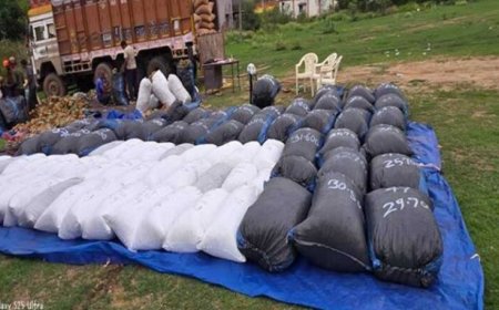 रीवा पुलिस की अवैध मादक पदार्थों के विरूद्ध बड़ी कार्रवाई