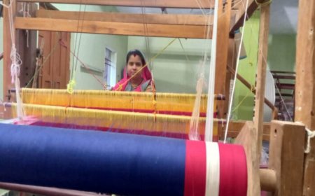 रायपुर : करघे से कमाई तक: धमतरी के ग्राम नारी की बुनकर महिलाओं ने लिखी आत्मनिर्भरता की नई इबारत