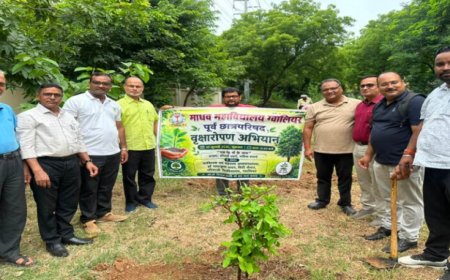माधव महाविद्यालय की पूर्व छात्रपरिषद ने वाणिज्य अध्ययन शाला में किया वृक्षारोपण