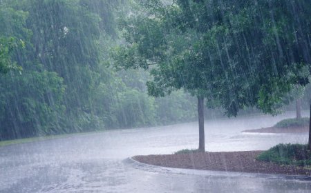 छत्तीसगढ़ में मानसून सक्रिय, अधिकांश जिलों में वर्षा के आसार
