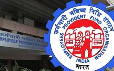 EPFO के 5 नए नियम 2026 लागू, PF क्लेम और ऑटो-ट्रांसफर अब पहले से ज्यादा आसान