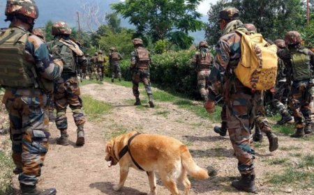 जम्मू-कश्मीर में आतंकी हमले की आशंका! अनंतनाग के लाल चौक पर फायरिंग, हेड कॉन्स्टेबल शहीद