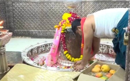 उज्जैन में बाबा महाकाल को चढ़ाया ₹2.5 लाख किलो वाला खास आम, जबलपुर के भक्त 12 साल से निभा रहे अनोखी परंपरा