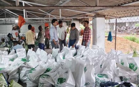 CG में कृषि विभाग की बड़ी कार्रवाई, अवैध भंडारण और पैकेजिंग यूनिट पर छापा, गोदाम सील