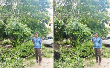 मुख्यमंत्री हेल्पलाइन से मिला त्वरित समाधान, बिजली तार से टकरा रही पेड़ की डालियां हटीं, बड़ा हादसा टला