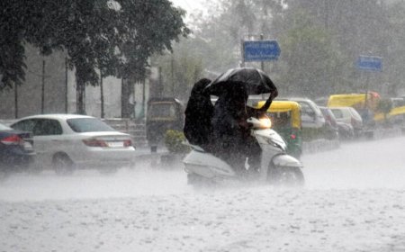 MP में मानसून का डबल अटैक! 3 एक्टिव सिस्टम से अगले 4 दिन झमाझम बारिश, सिवनी में 24 घंटे में 4.9 इंच पानी