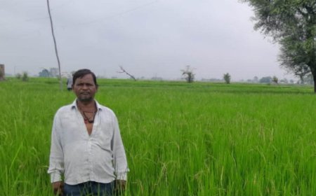 गलत धान बीज से किसानों की लाखों की फसल चौपट, फर्म संचालक पर कार्रवाई की मांग