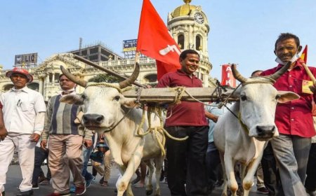 आठ दिन में समाधान नहीं हुआ तो कलेक्ट्रेट पर धरना देंगे किसान, कलेक्टर दिया चेतावनी भरा आवेदन