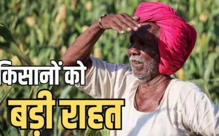 56 लाख किसानों को बड़ी राहत! 2 लाख रुपये तक का कृषि ऋण होगा माफ, सरकार ने जारी की सूची