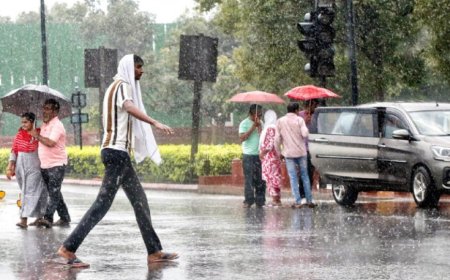 MP Weather Alert: भोपाल-इंदौर समेत 35 जिलों में भारी बारिश का अलर्ट, अगले 4 दिन जमकर बरसेंगे बदरा