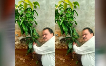 अधिमान्य पत्रकार नेतृत्व समिति के प्रदेश अध्यक्ष प्रीतम वर्मन ने लगाया एक वृक्ष
