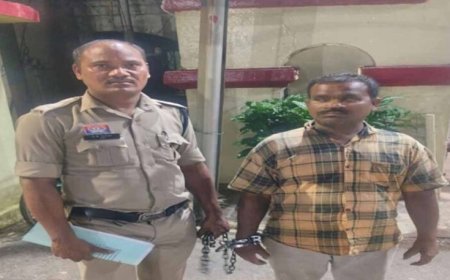 ओडिशा से बस के जरिए रायपुर में नशीली गोलियों की सप्लाई, आरोपी बस ड्राइवर गिरफ्तार