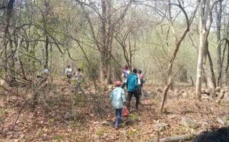 CG Crime News: 9वीं के छात्र का जंगल में मिला शव, चेहरे पर पत्थर से हमला, हत्या की आशंका
