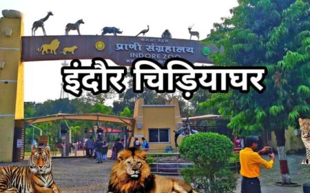 इंदौर चिड़ियाघर में बढ़ेगा आकर्षण, आएगा एक सींग वाले गैंडों का जोड़ा, 700 किमी दूर से पहुंचेगा दरियाई घोड़ा ‘सतीश’
