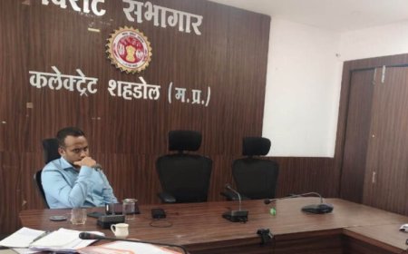 सीईओ जिला पंचायत ने की सीएम हेल्पलाइन एवं समय-सीमा पत्रों की समीक्षा