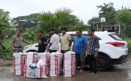 CG में नशा तस्करों पर बड़ा प्रहार, 1 करोड़ का गांजा जब्त; फर्जी नंबर प्लेट वाली कार समेत 3 गिरफ्तार