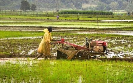 ​धमतरी में कृषि क्रांति: 22 नई सहकारी समितियों से किसानों की राह आसान