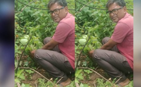 जबलपुर पूर्व प्रदेश अध्यक्ष सुनील कुमार राय ने पीपल के वृक्ष मझौली में लगाए