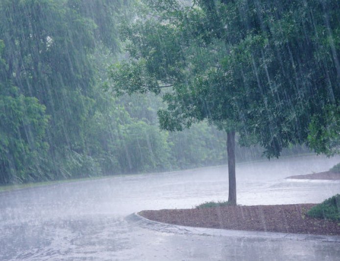 छत्तीसगढ़ में मानसून सक्रिय, अधिकांश जिलों में वर्षा के आसार