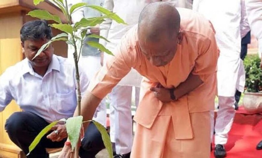 सीएम योगी ने शुरू किया पौधरोपण महायज्ञ, 35 करोड़ पौधे लगाने का लक्ष्य