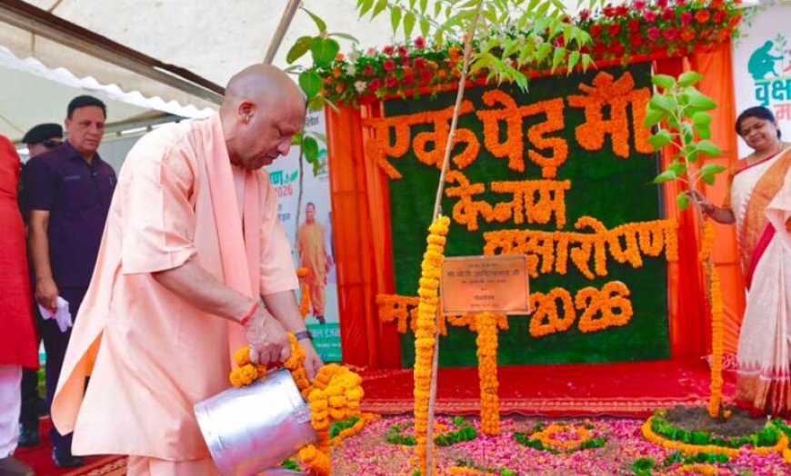 वनों से ही नदियां रहेंगी सदानीरा: मुख्यमंत्री