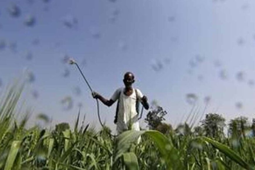 मुख्यमंत्री डॉ. यादव 10.54 लाख किसानों के खातों में 1460.25 करोड़ की राशि करेंगे अंतरित