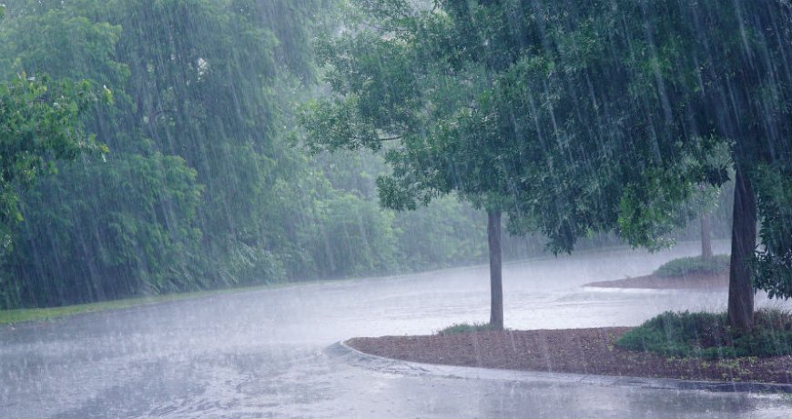 छत्तीसगढ़ में मानसून सक्रिय, अधिकांश जिलों में वर्षा के आसार