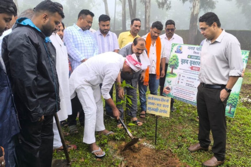 अमरकंटक में ‘अमृत हरित महा अभियान’ के तहत 3 हजार पौधों का वृहद पौधारोपण