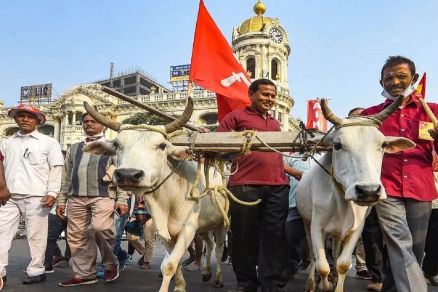 आठ दिन में समाधान नहीं हुआ तो कलेक्ट्रेट पर धरना देंगे किसान, कलेक्टर दिया चेतावनी भरा आवेदन