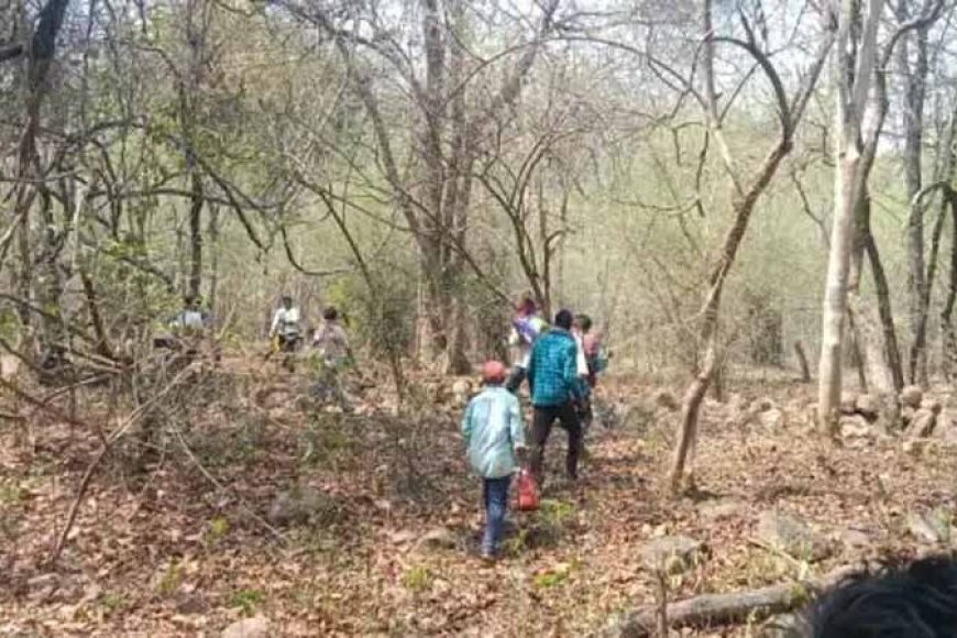 CG Crime News: 9वीं के छात्र का जंगल में मिला शव, चेहरे पर पत्थर से हमला, हत्या की आशंका