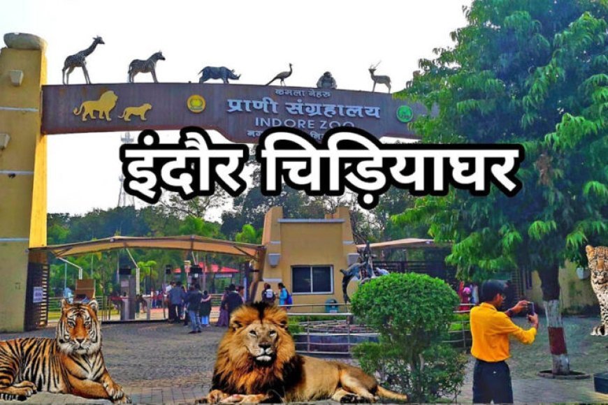 इंदौर चिड़ियाघर में बढ़ेगा आकर्षण, आएगा एक सींग वाले गैंडों का जोड़ा, 700 किमी दूर से पहुंचेगा दरियाई घोड़ा ‘सतीश’