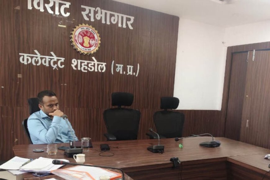 सीईओ जिला पंचायत ने की सीएम हेल्पलाइन एवं समय-सीमा पत्रों की समीक्षा