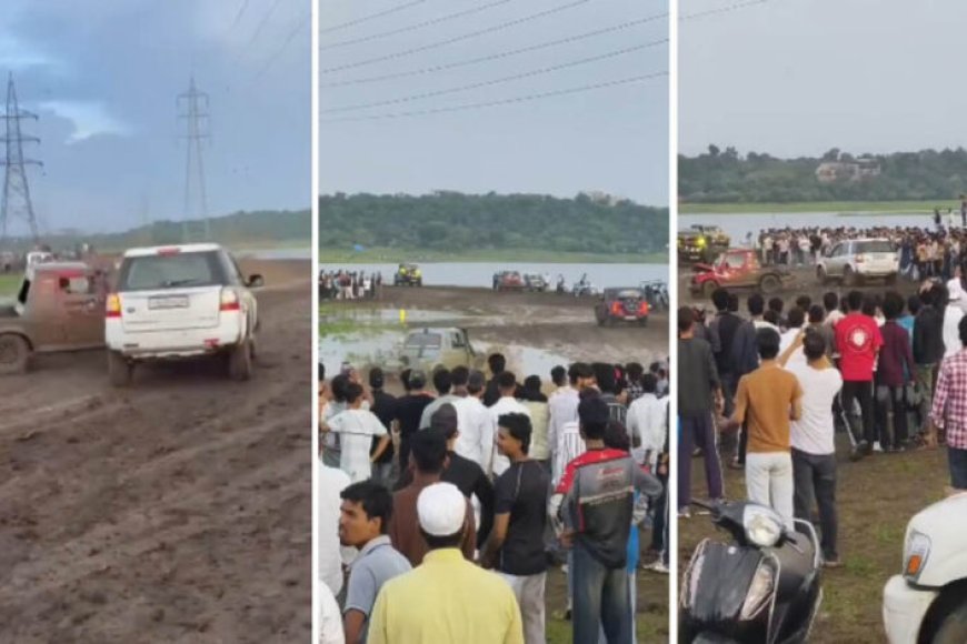 वेटलैंड में फिर ‘मड रैली’ पर विवाद, NGT 7 साल पहले लगा चुका है रोक; एक्सपर्ट ने जलीय जीवों पर जताया खतरा