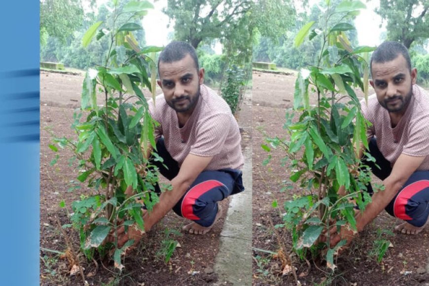झाबुआ जिला अध्यक्ष रविंद्र भाटी ने आम के वृक्ष झाबुआ में लगाए