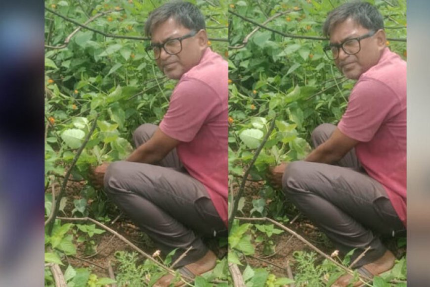 जबलपुर पूर्व प्रदेश अध्यक्ष सुनील कुमार राय ने पीपल के वृक्ष मझौली में लगाए